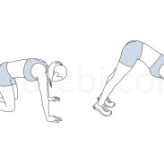 bear-squat-exercise-illustration